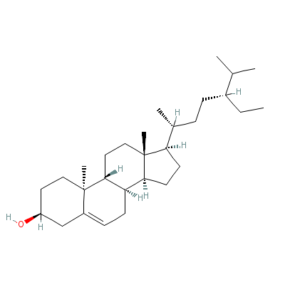 gamma-sitosterol.gif
